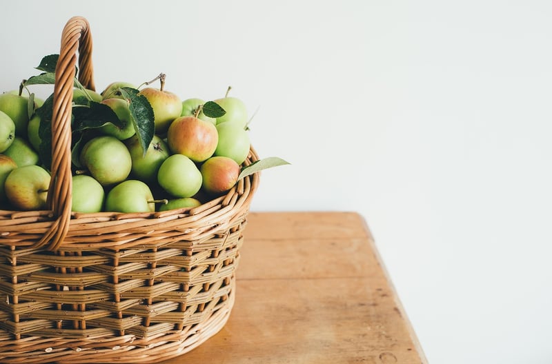 Farm-to-Table Experience