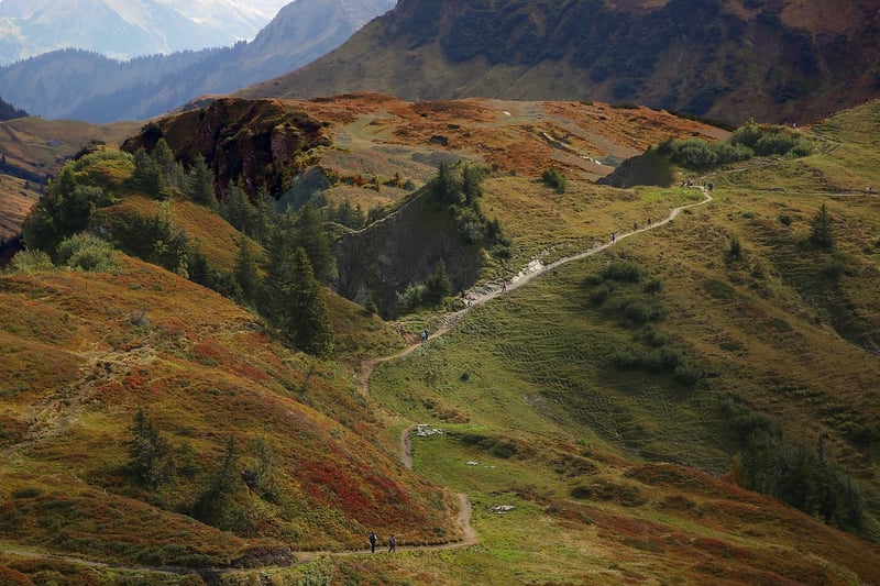 Nature Conservation Tours