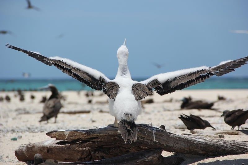 Wildlife Sanctuaries